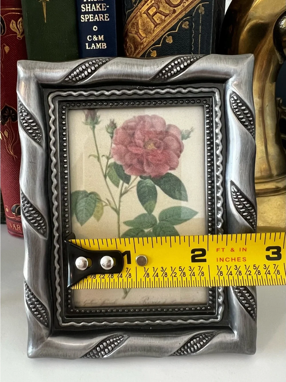 Vintage Pewter Tone Picture Frame with Botanical Image